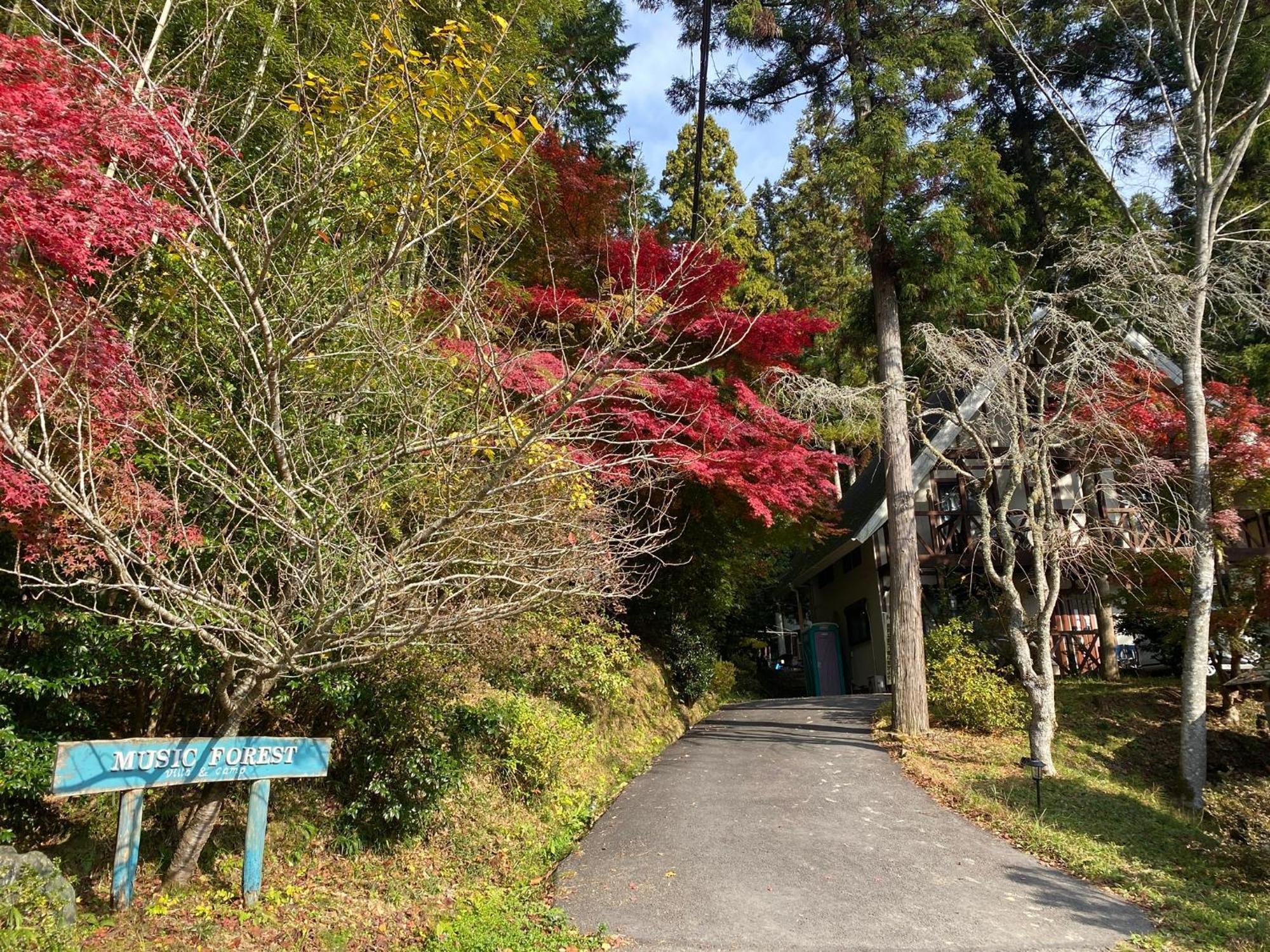Music Forest Villa&Camp Tamba-Sasayama Exterior foto